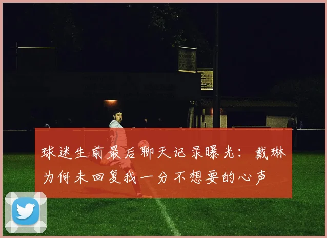 球迷生前最后聊天记录曝光：戴琳为何未回复我一分不想要的心声